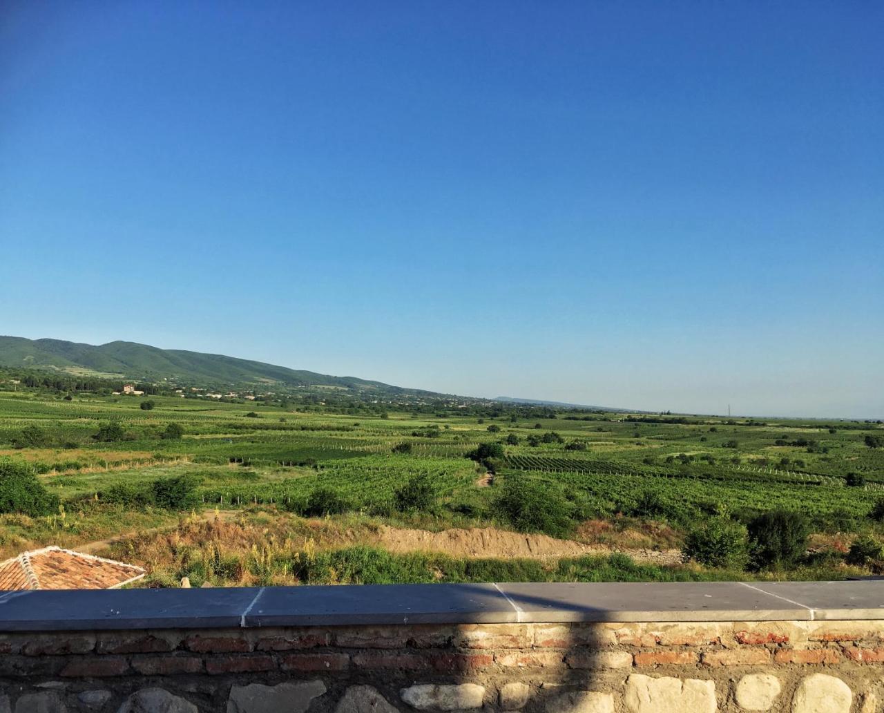 Elizbar Talakvadze Winery Villa Kardanakhi Exterior photo